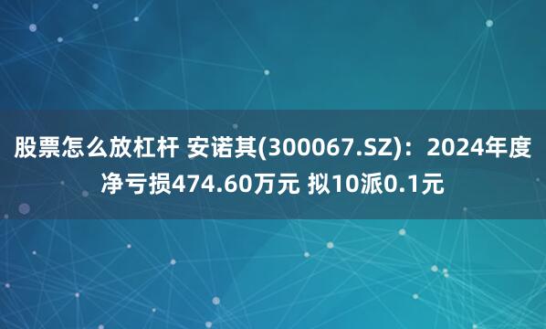 股票怎么放杠杆 安诺其(300067.SZ)：2024年度净亏损474.60万元 拟10派0.1元
