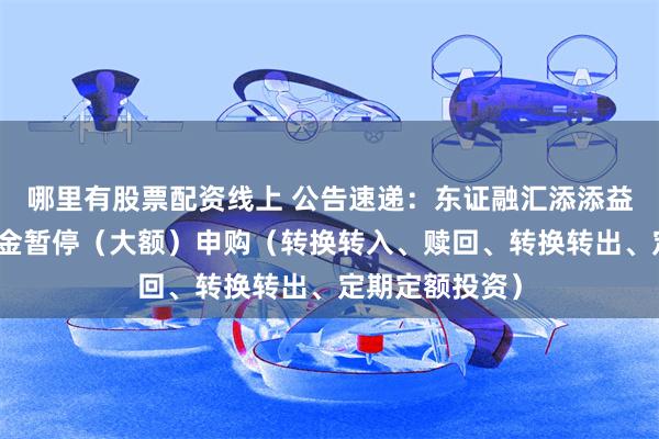 哪里有股票配资线上 公告速递：东证融汇添添益中短债基金基金暂停（大额）申购（转换转入、赎回、转换转出、定期定额投资）