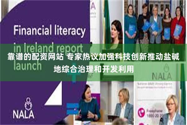 靠谱的配资网站 专家热议加强科技创新推动盐碱地综合治理和开发利用