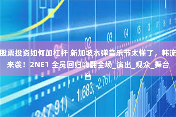 股票投资如何加杠杆 新加坡水弹音乐节太懂了，韩流来袭！2NE1 全员回归嗨翻全场_演出_观众_舞台