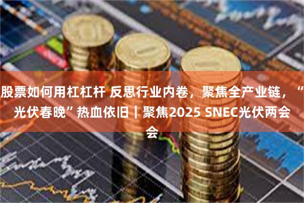 股票如何用杠杠杆 反思行业内卷，聚焦全产业链，“光伏春晚”热血依旧｜聚焦2025 SNEC光伏两会