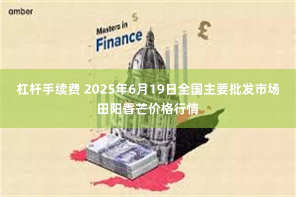 杠杆手续费 2025年6月19日全国主要批发市场田阳香芒价格行情