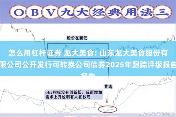 怎么用杠杆证券 龙大美食: 山东龙大美食股份有限公司公开发行