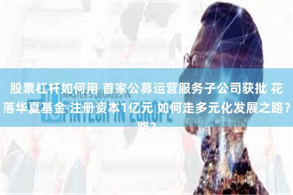 股票杠杆如何用 首家公募运营服务子公司获批 花落华夏基金 注