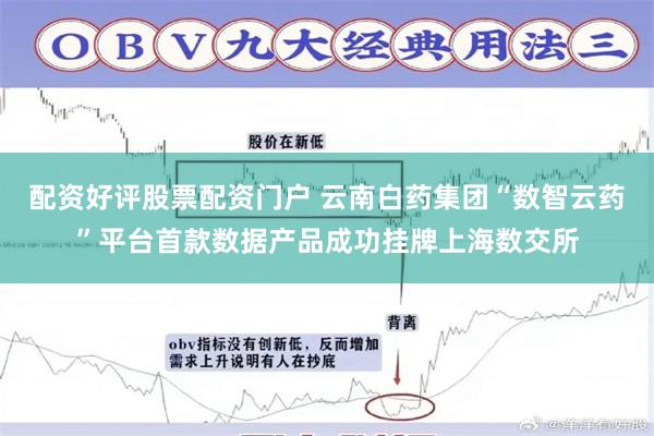 配资好评股票配资门户 云南白药集团“数智云药”平台首款数据产品成功挂牌上海数交所