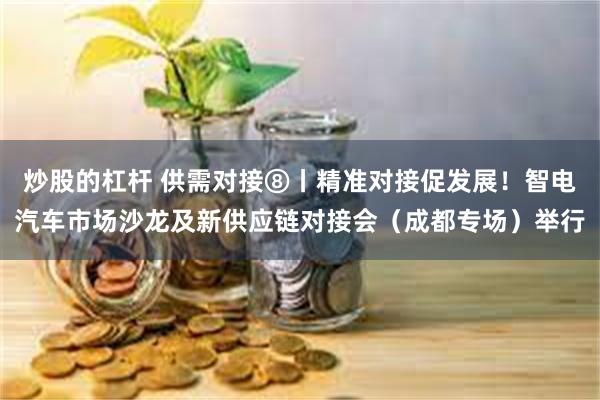 炒股的杠杆 供需对接⑧丨精准对接促发展！智电汽车市场沙龙及新供应链对接会（成都专场）举行