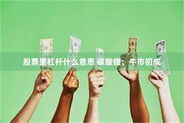 股票里杠杆什么意思 碳酸锂：牛市初成