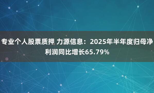 专业个人股票质押 力源信息：2025年半年度归母净利润同比增长65.79%