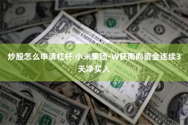 炒股怎么申请杠杆 小米集团-W获南向资金连续3天净买入