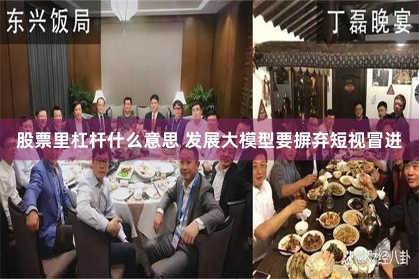 股票里杠杆什么意思 发展大模型要摒弃短视冒进