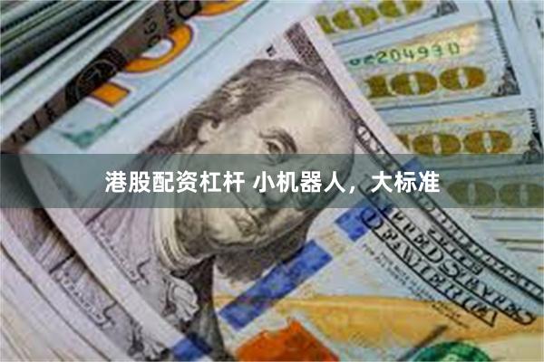 港股配资杠杆 小机器人,大标准